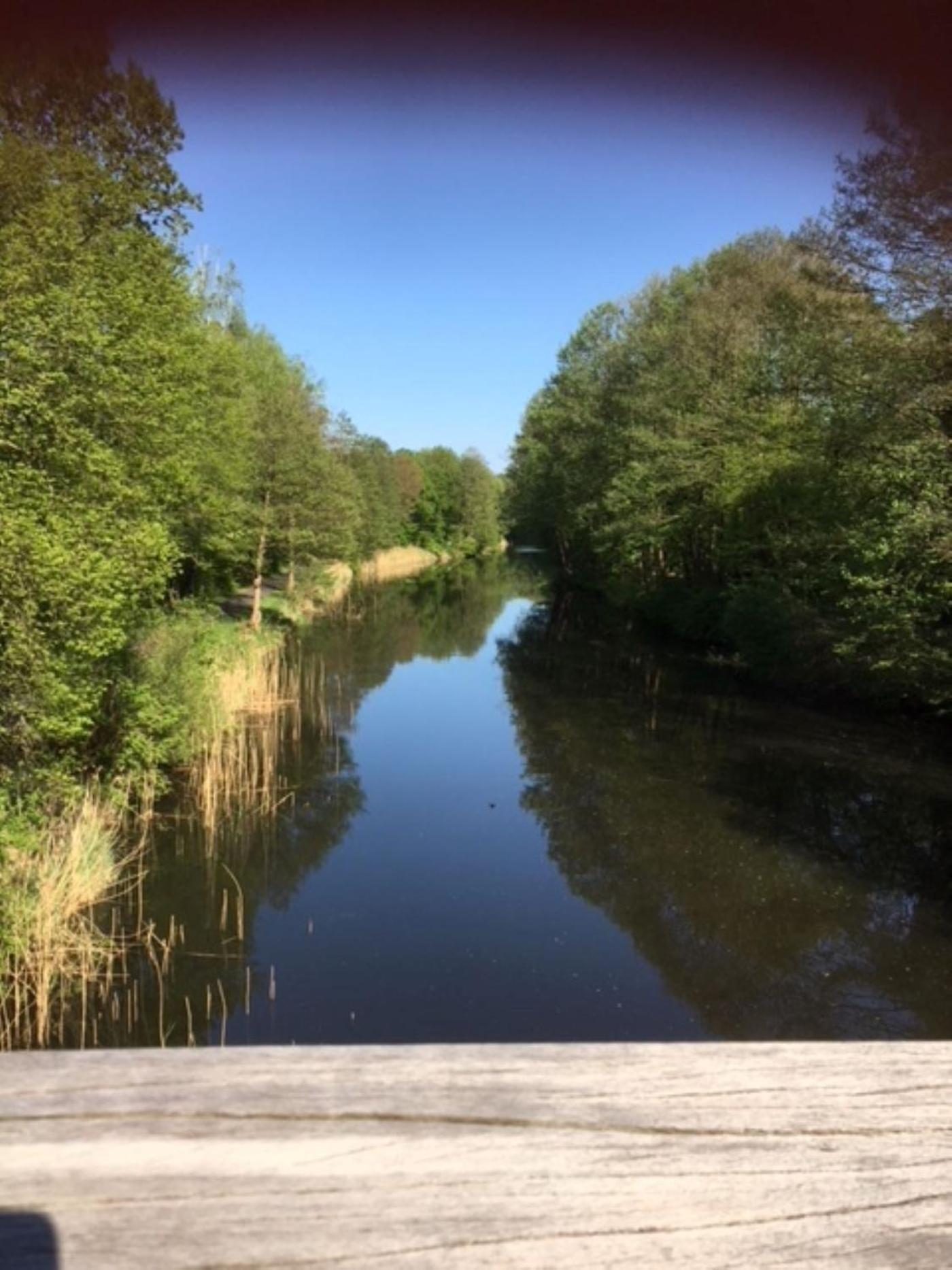 Ferienappartements Am See Schorfheide Bagian luar foto