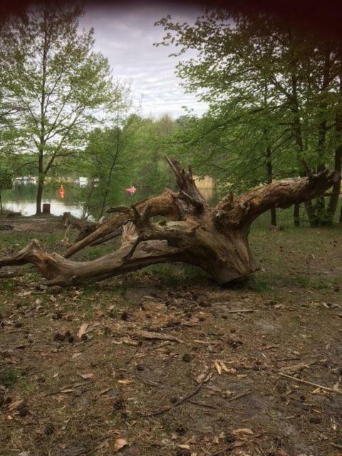 Ferienappartements Am See Schorfheide Bagian luar foto